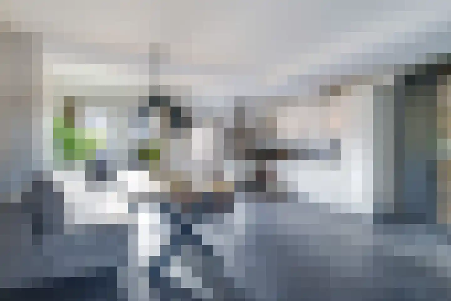 Leliestraat 8 Herveld thumbnail 21