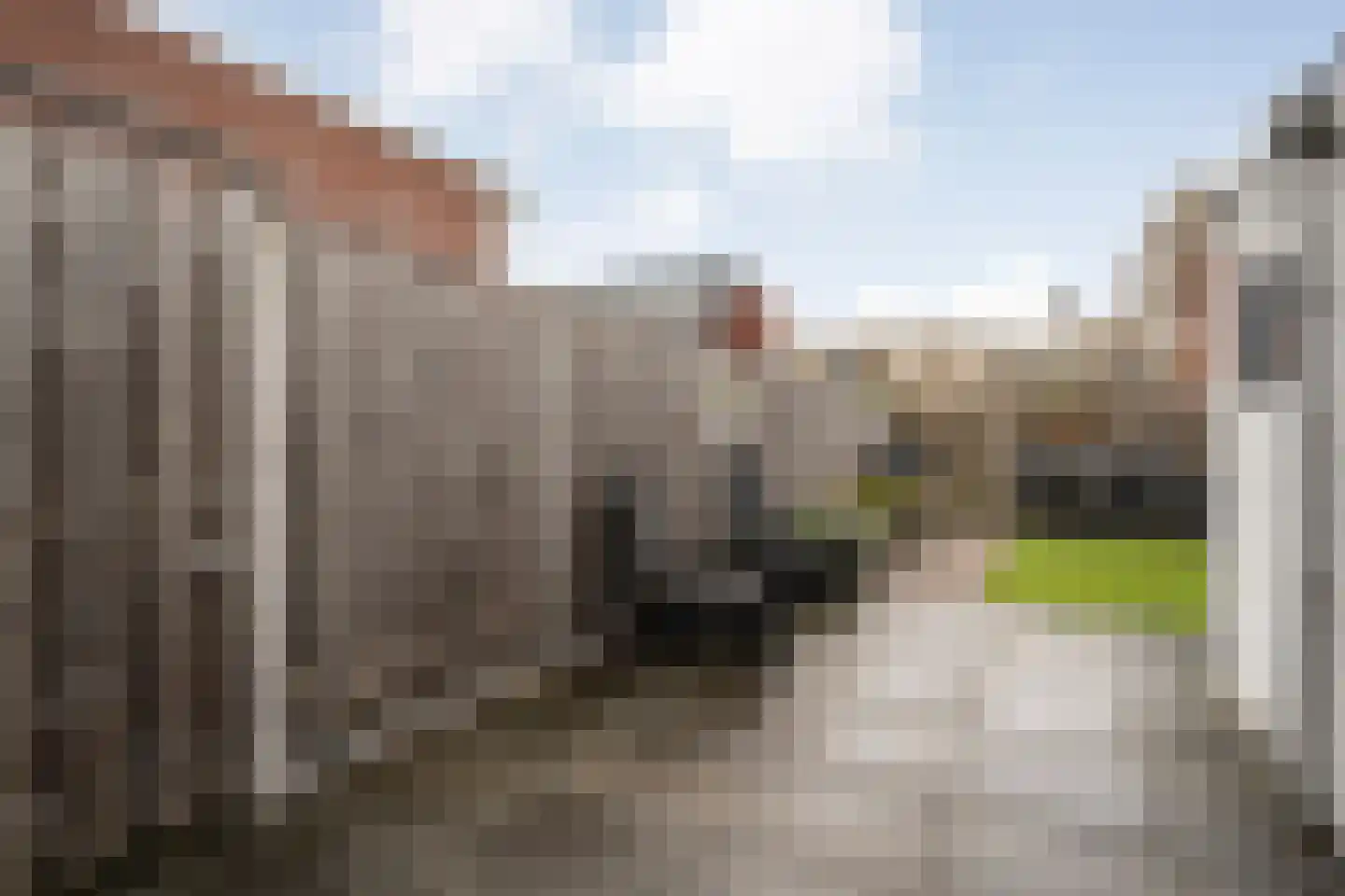 Leliestraat 8 Meppel thumbnail 35