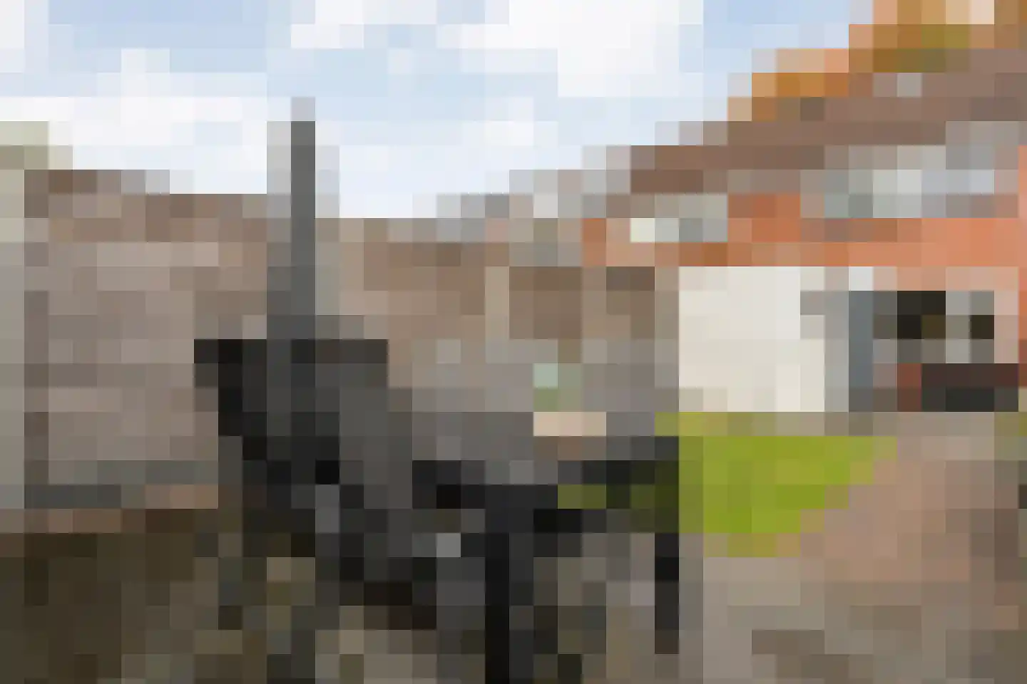 Leliestraat 8 Meppel thumbnail 40