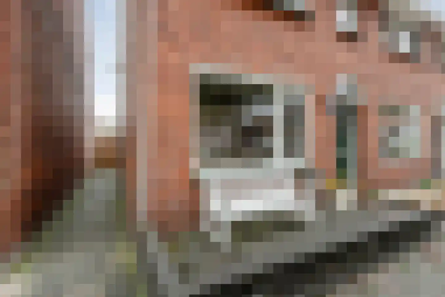 Leliestraat 8 Meppel thumbnail 43
