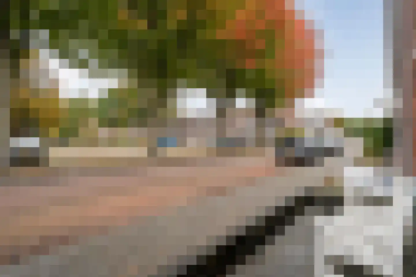 Leliestraat 8 Meppel thumbnail 45