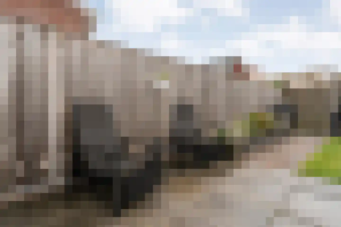 Leliestraat 8 Meppel thumbnail 8