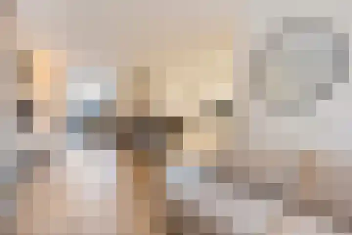 Leliestraat 8 Oss thumbnail 10
