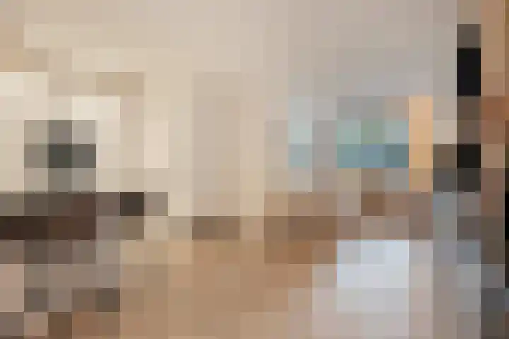 Leliestraat 8 Oss thumbnail 11