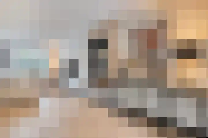 Leliestraat 8 Oss thumbnail 12