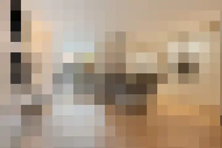 Leliestraat 8 Oss thumbnail 13