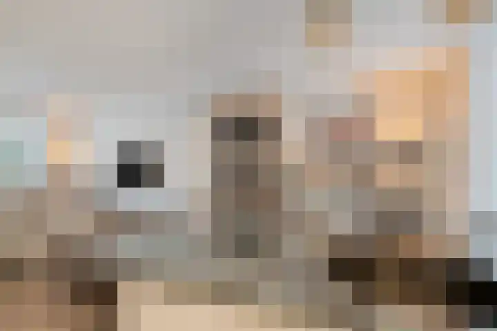 Leliestraat 8 Oss thumbnail 16