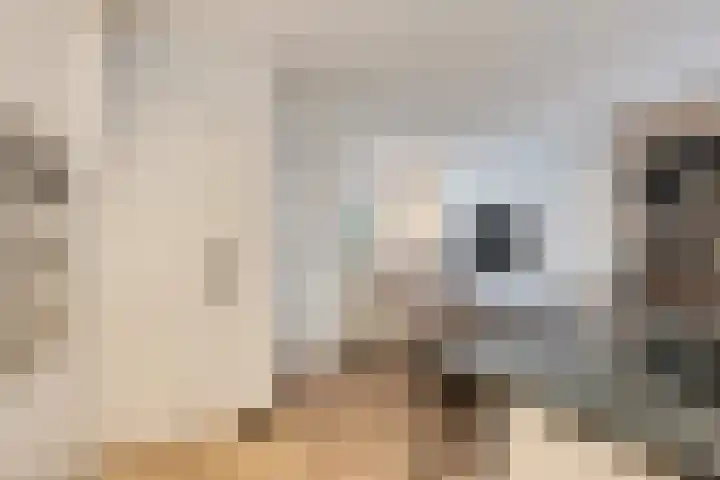 Leliestraat 8 Oss thumbnail 17