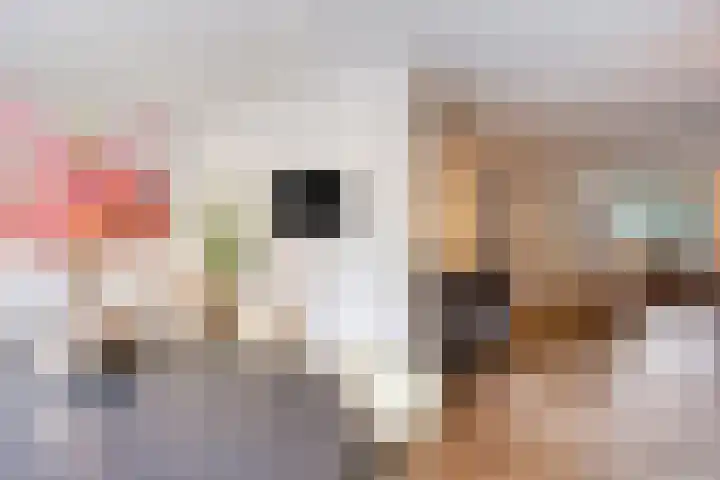 Leliestraat 8 Oss thumbnail 18