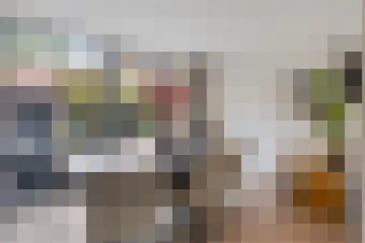 Leliestraat 8 Oss thumbnail 19
