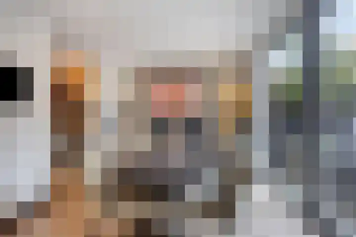 Leliestraat 8 Oss thumbnail 20