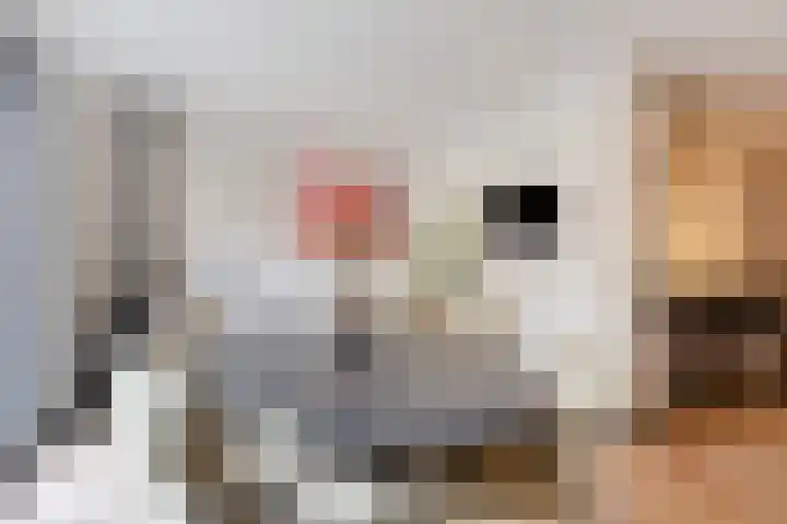 Leliestraat 8 Oss thumbnail 21