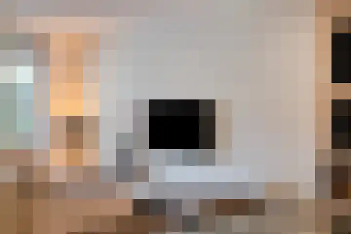 Leliestraat 8 Oss thumbnail 26
