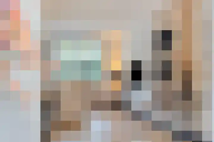 Leliestraat 8 Oss thumbnail 27