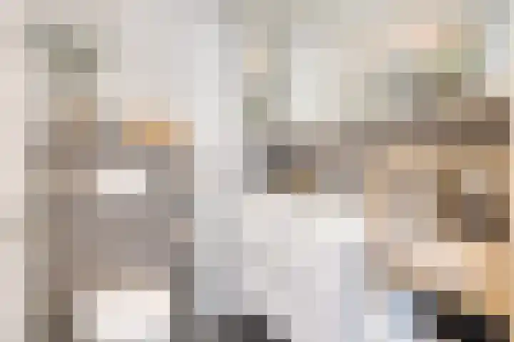 Leliestraat 8 Oss thumbnail 31