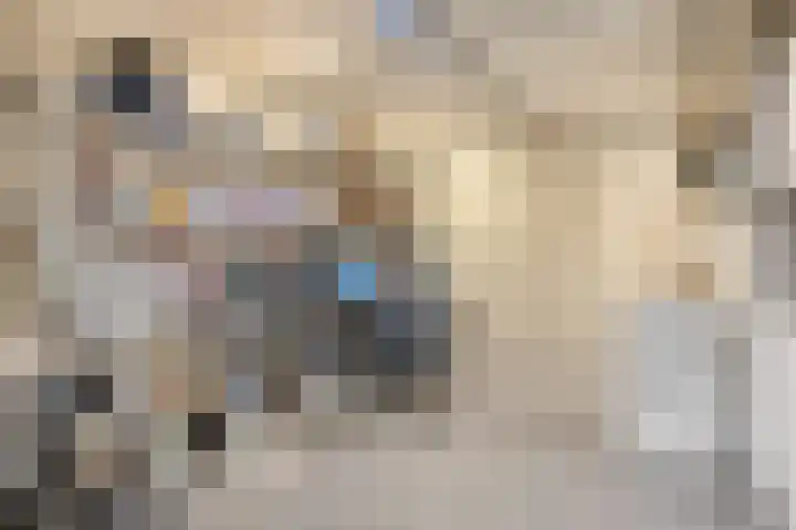Leliestraat 8 Oss thumbnail 33