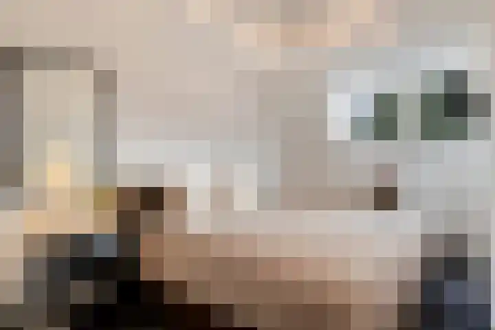 Leliestraat 8 Oss thumbnail 35