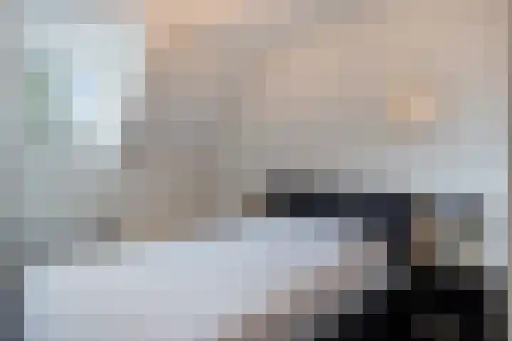 Leliestraat 8 Oss thumbnail 37