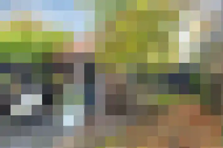 Leliestraat 8 Oss thumbnail 40