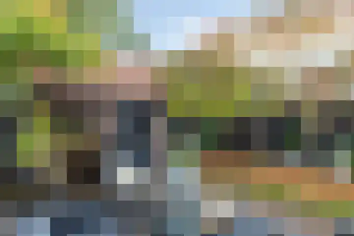 Leliestraat 8 Oss thumbnail 41