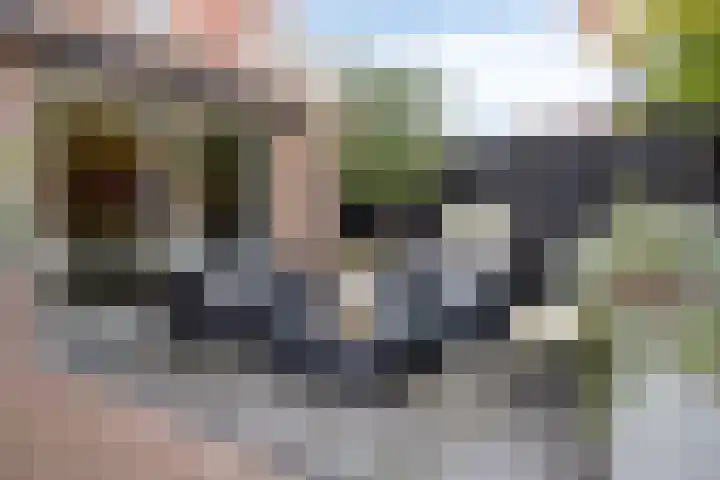 Leliestraat 8 Oss thumbnail 43