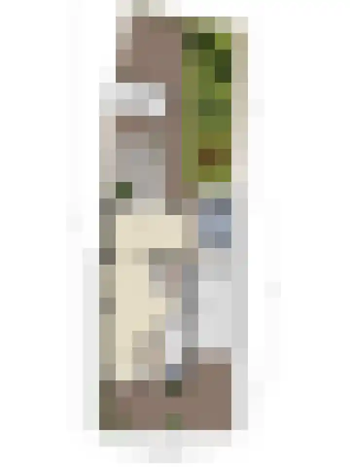 Leliestraat 8 Oss thumbnail 47