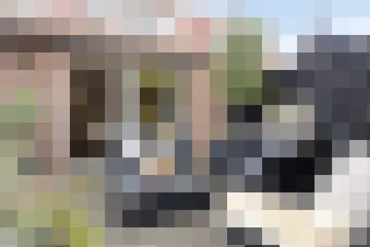 Leliestraat 8 Oss thumbnail 5