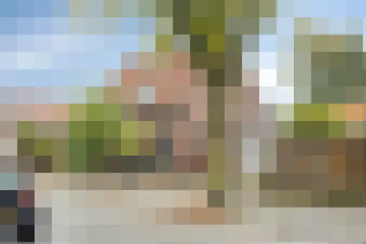 Leliestraat 8 Oss thumbnail 6