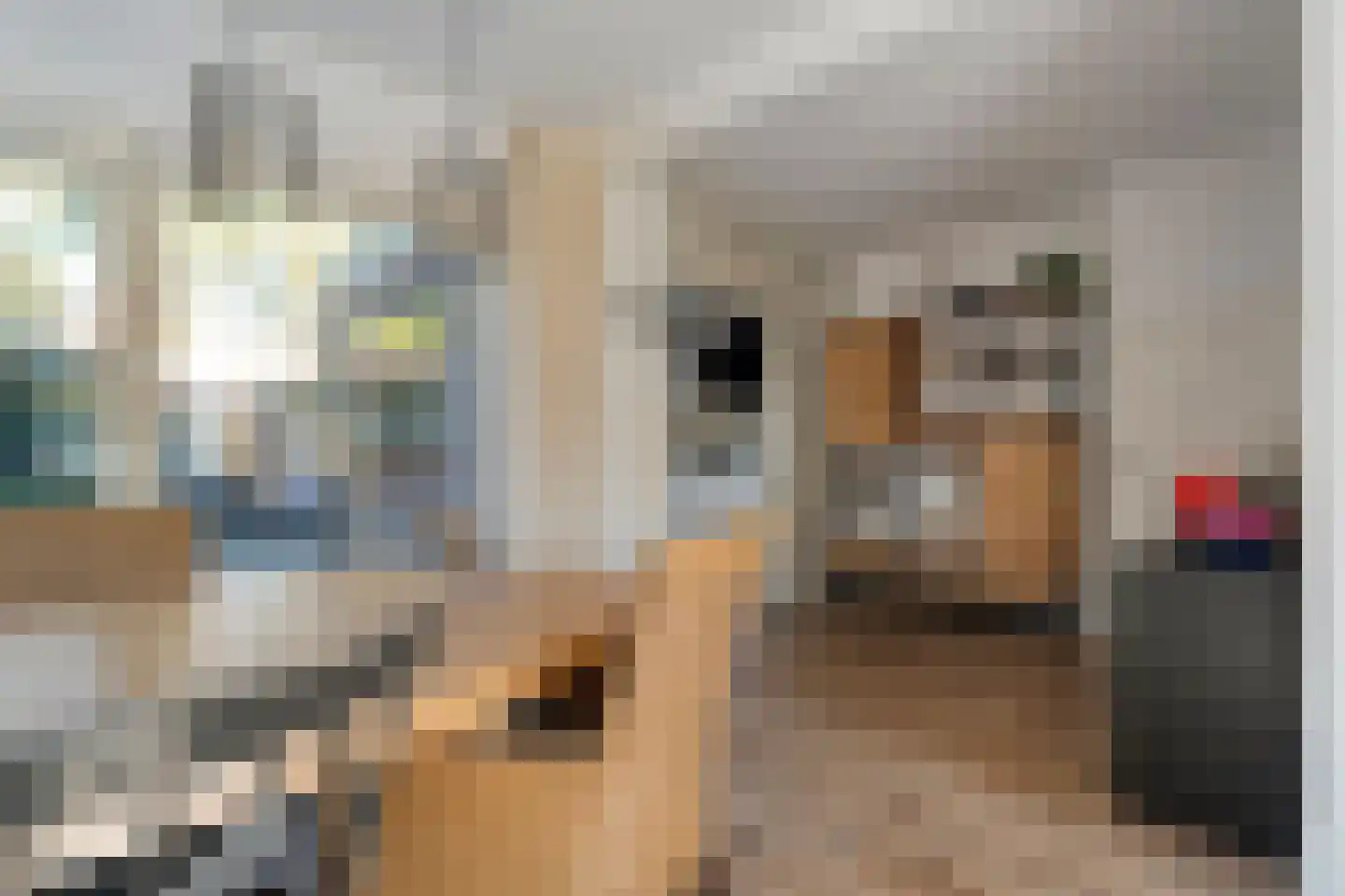 Leliestraat 81 Zwolle thumbnail 16