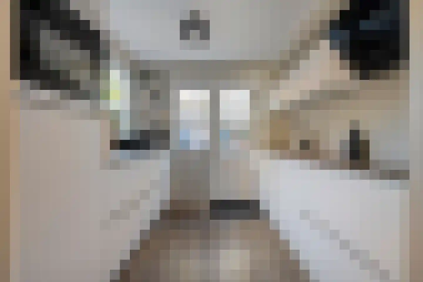 Leliestraat 81 Zwolle thumbnail 18