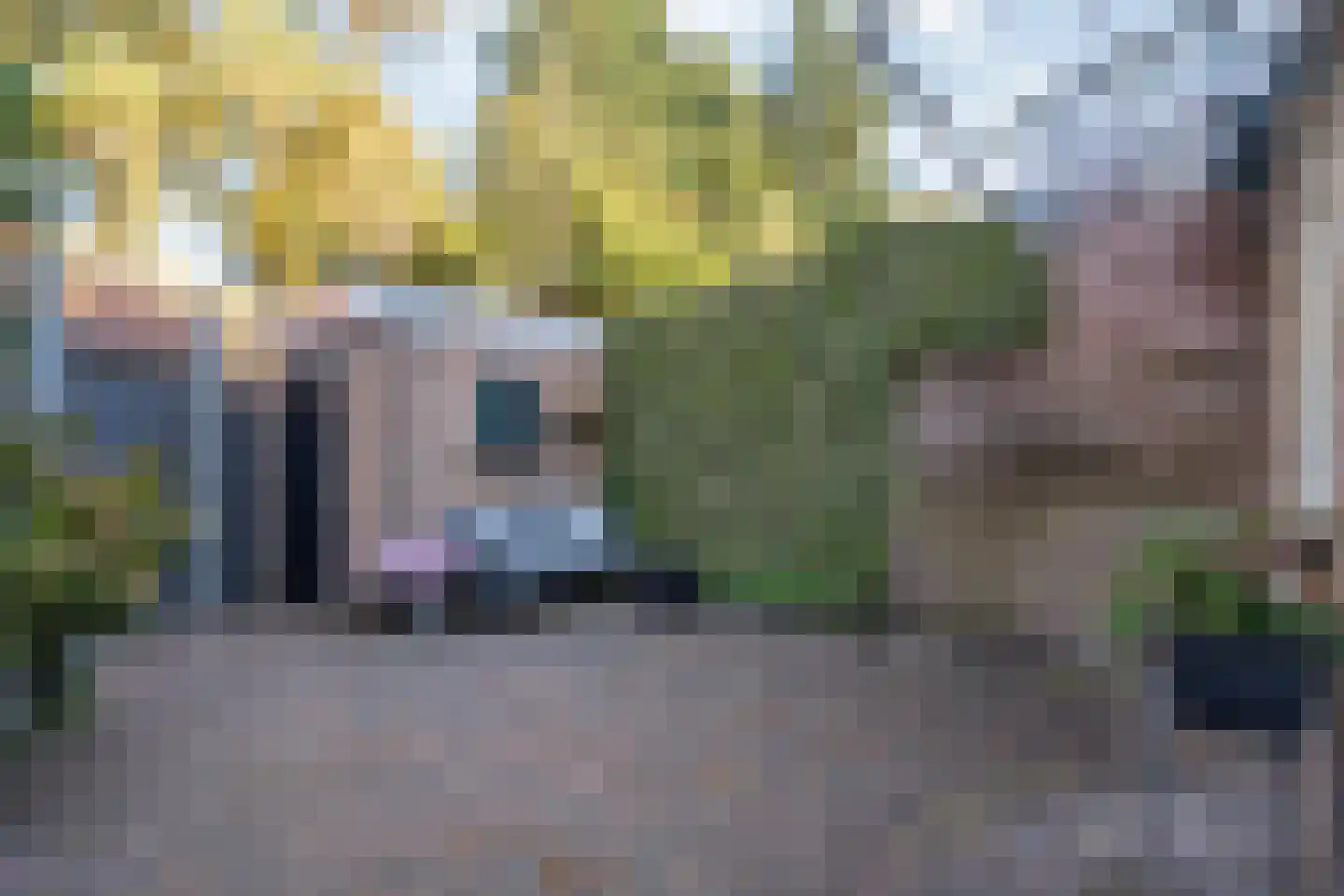 Leliestraat 81 Zwolle thumbnail 35
