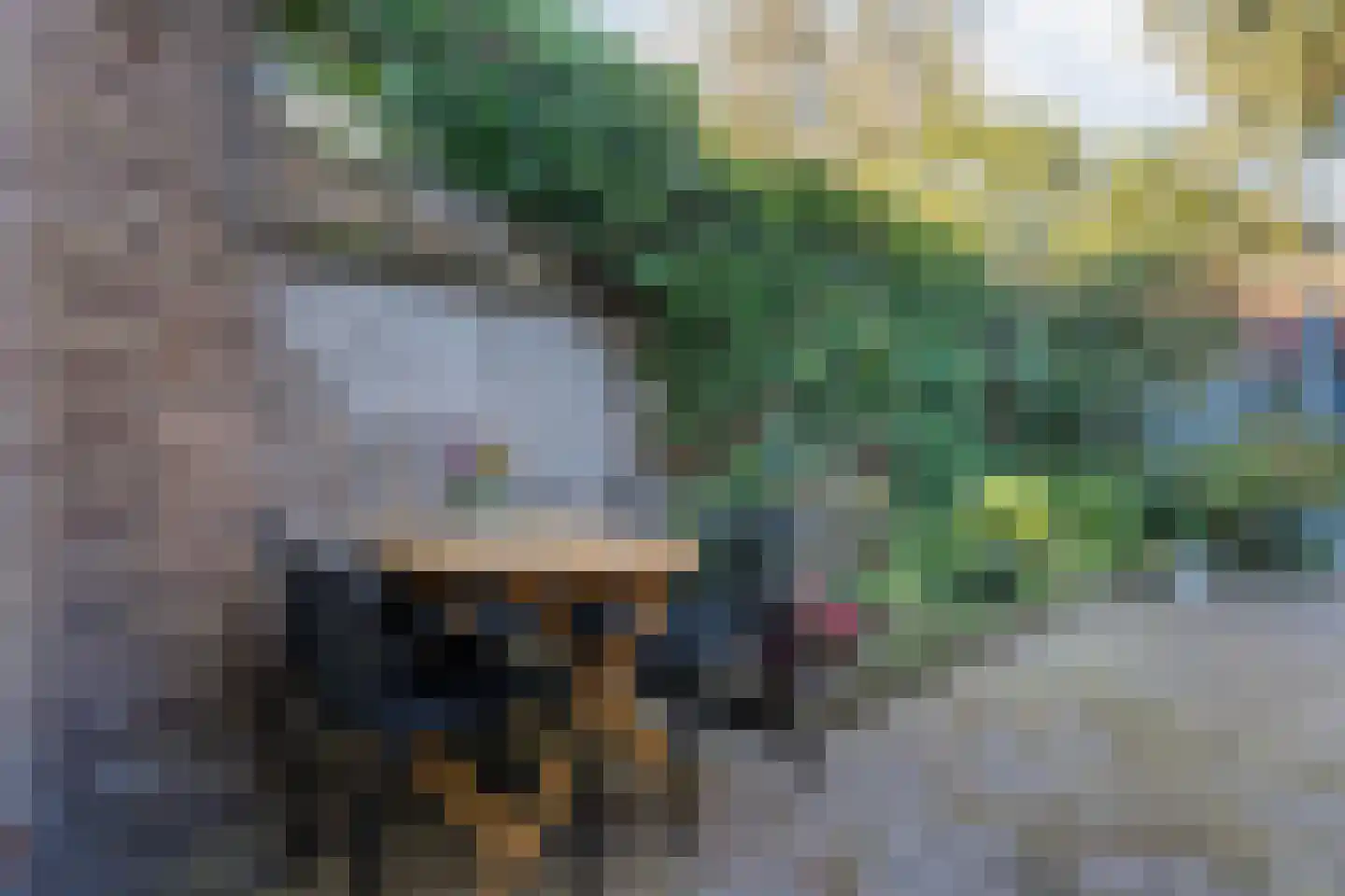 Leliestraat 81 Zwolle thumbnail 38