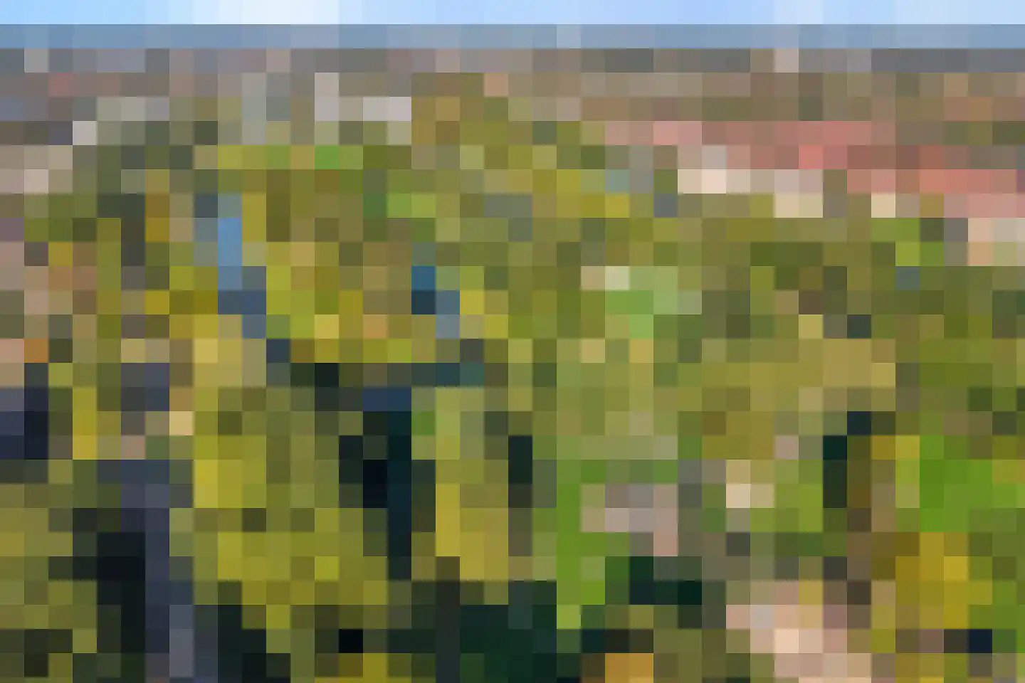 Leliestraat 81 Zwolle thumbnail 4