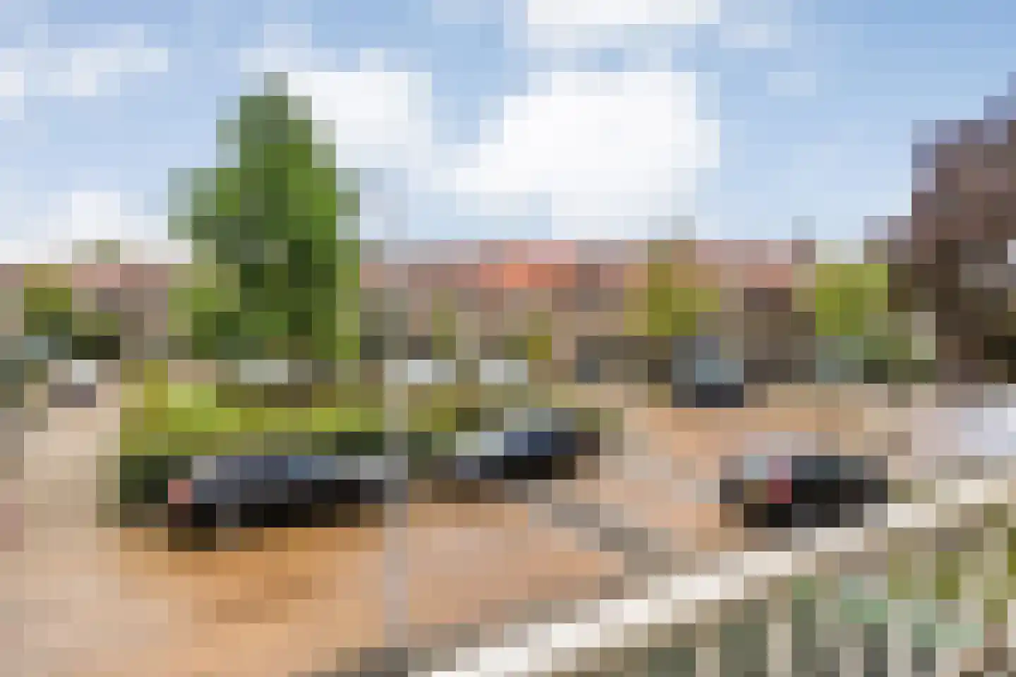 Leliestraat 85 Zwolle thumbnail 35