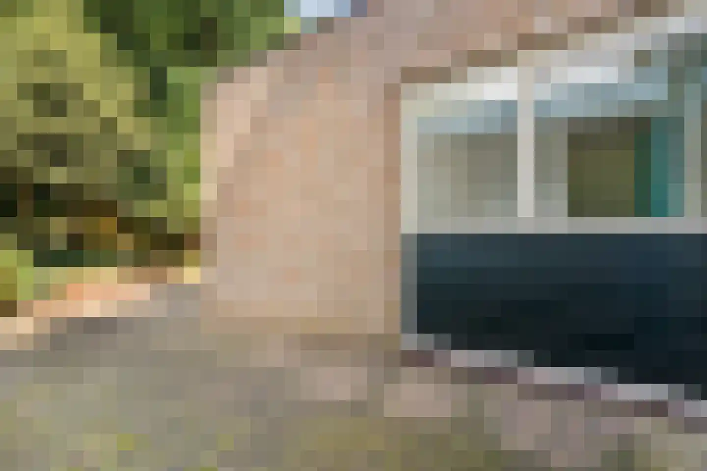 Leliestraat 85 Zwolle thumbnail 40
