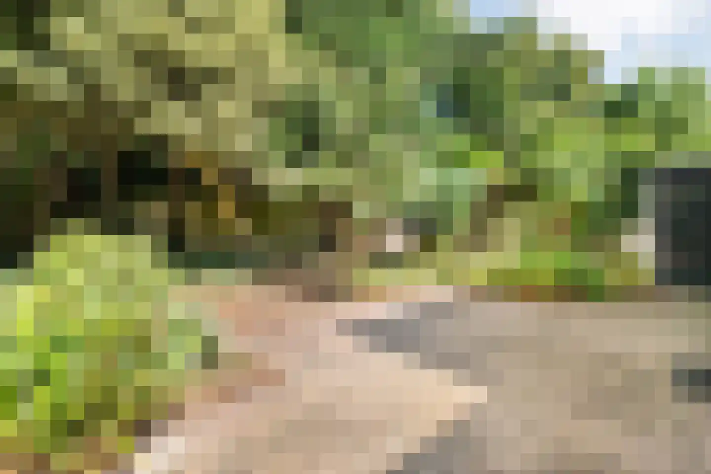 Leliestraat 85 Zwolle thumbnail 42