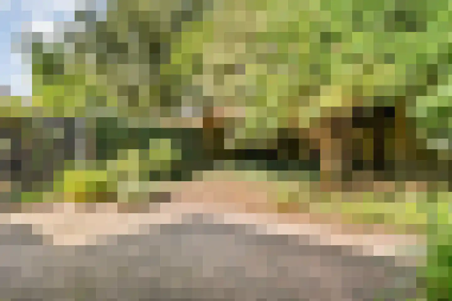 Leliestraat 85 Zwolle thumbnail 43