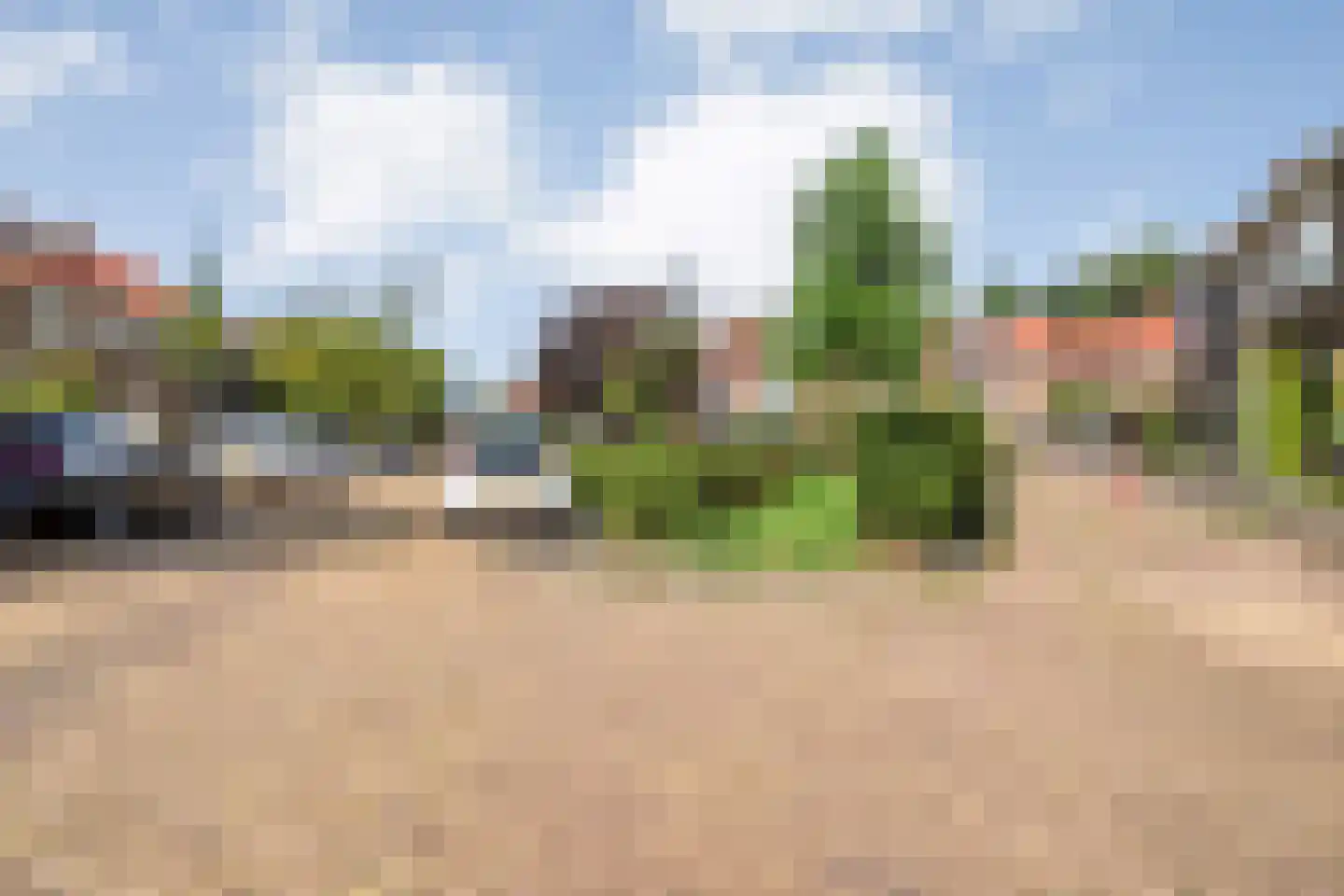Leliestraat 85 Zwolle thumbnail 45
