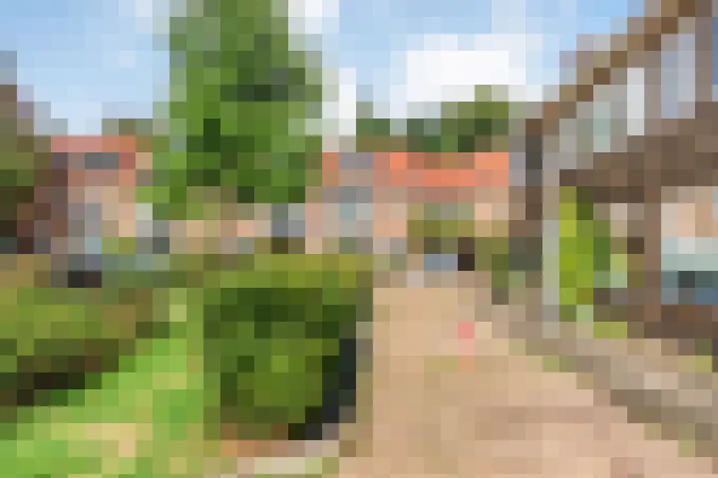 Leliestraat 85 Zwolle thumbnail 46