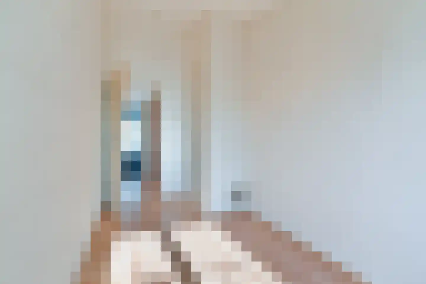 Leliestraat 86 Beek en Donk thumbnail 21