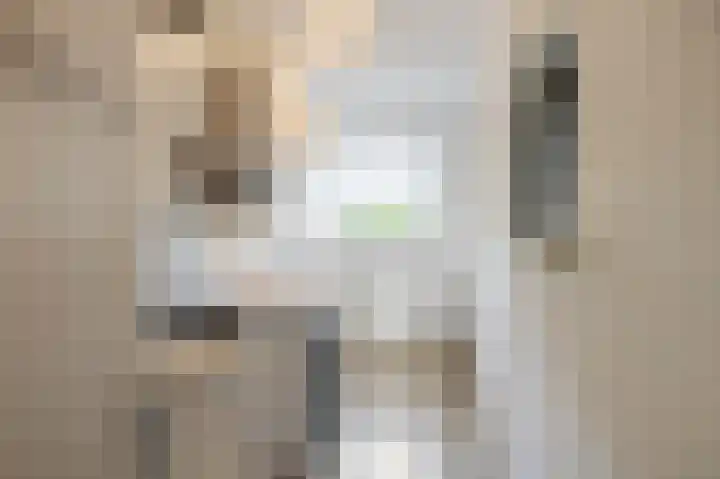 Leliestraat 9 Echt thumbnail 24