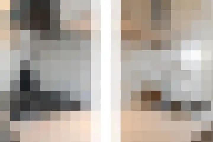 Leliestraat 9 Echt thumbnail 26