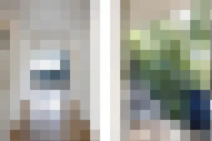 Leliestraat 9 Echt thumbnail 35