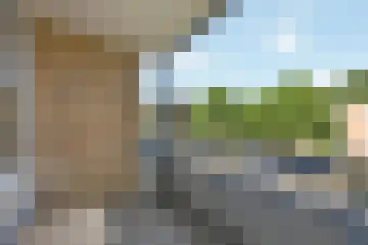 Leliestraat 9 Echt thumbnail 36