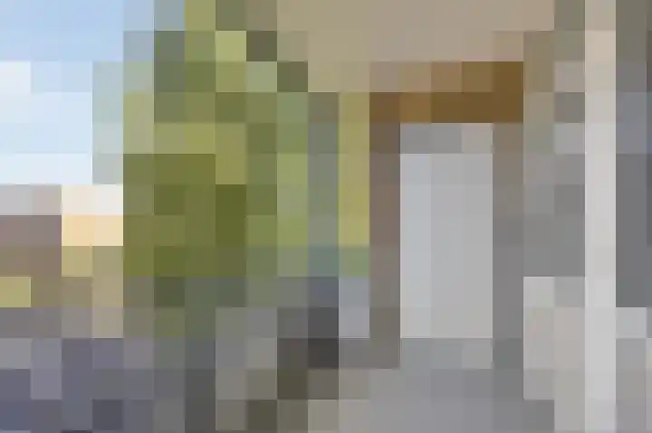 Leliestraat 9 Echt thumbnail 38
