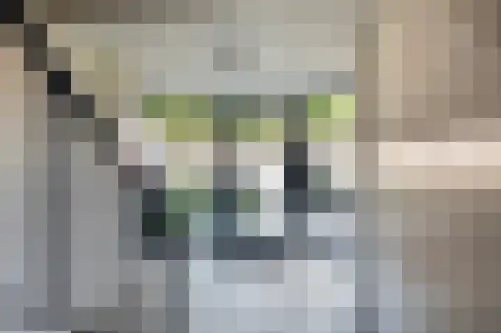 Leliestraat 9 Echt thumbnail 8