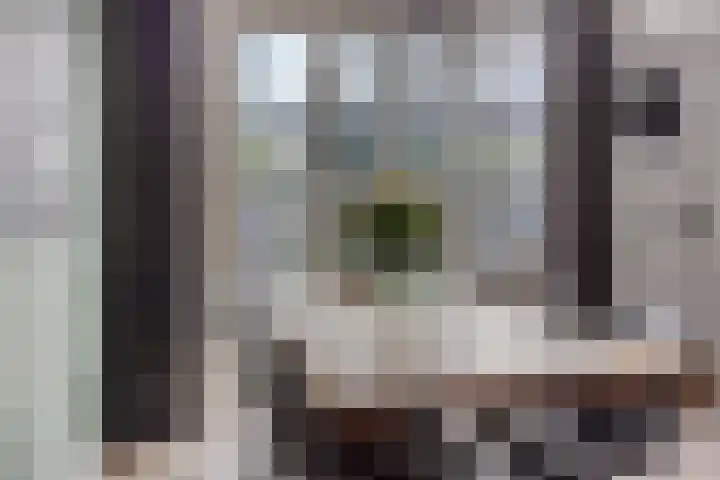 Leliestraat 9 Grubbenvorst thumbnail 10