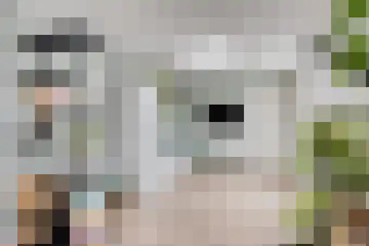 Leliestraat 9 Grubbenvorst thumbnail 21