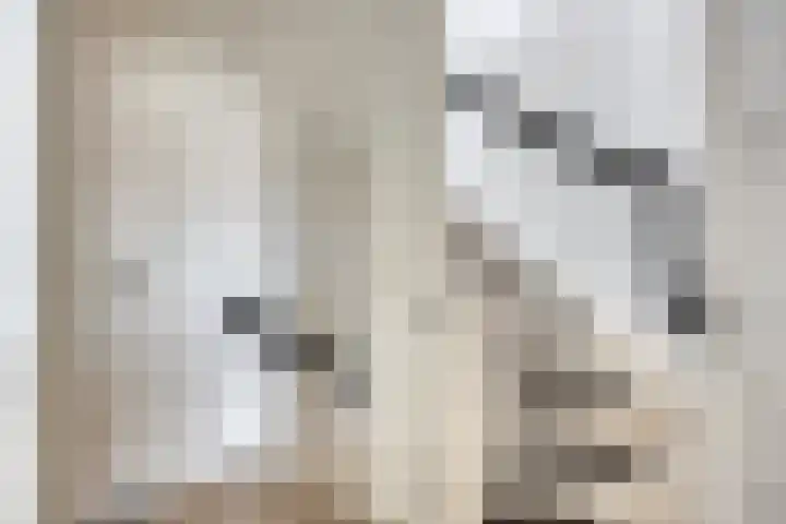 Leliestraat 9 Grubbenvorst thumbnail 26