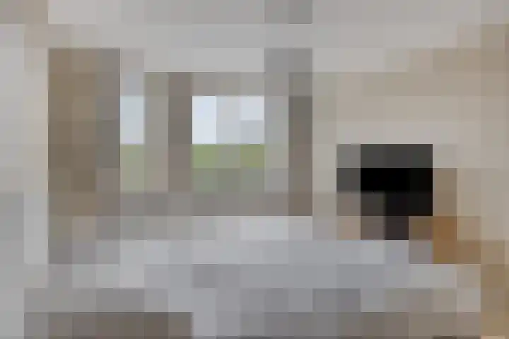 Leliestraat 9 Grubbenvorst thumbnail 29